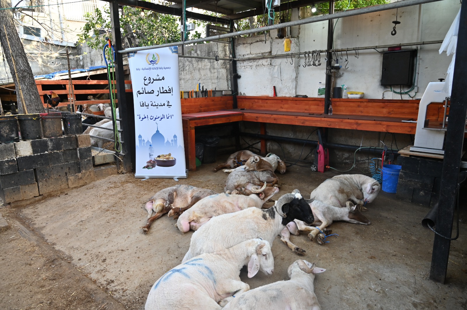 WhatsApp Image 2023-04-05 at 10.42.42 PM.jpeg